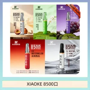 XIAOKE8500口-700x702-1.webp XIAOKE梟客 8500口一次性電子菸拋棄式(口紅款)